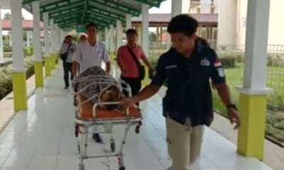 Pelaku Pemerkosaan