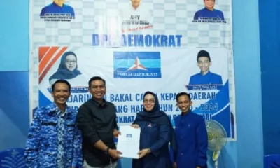 Demokrat Batanghari