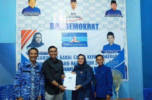 Demokrat Batanghari