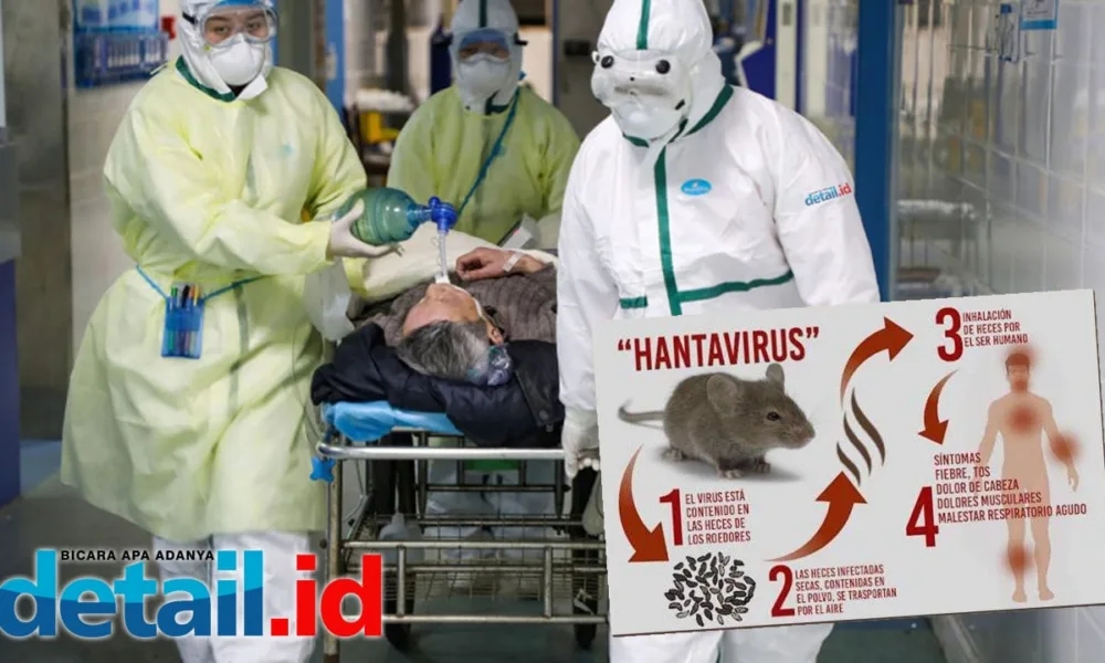 Hantavirus
