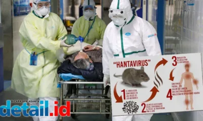 Hantavirus