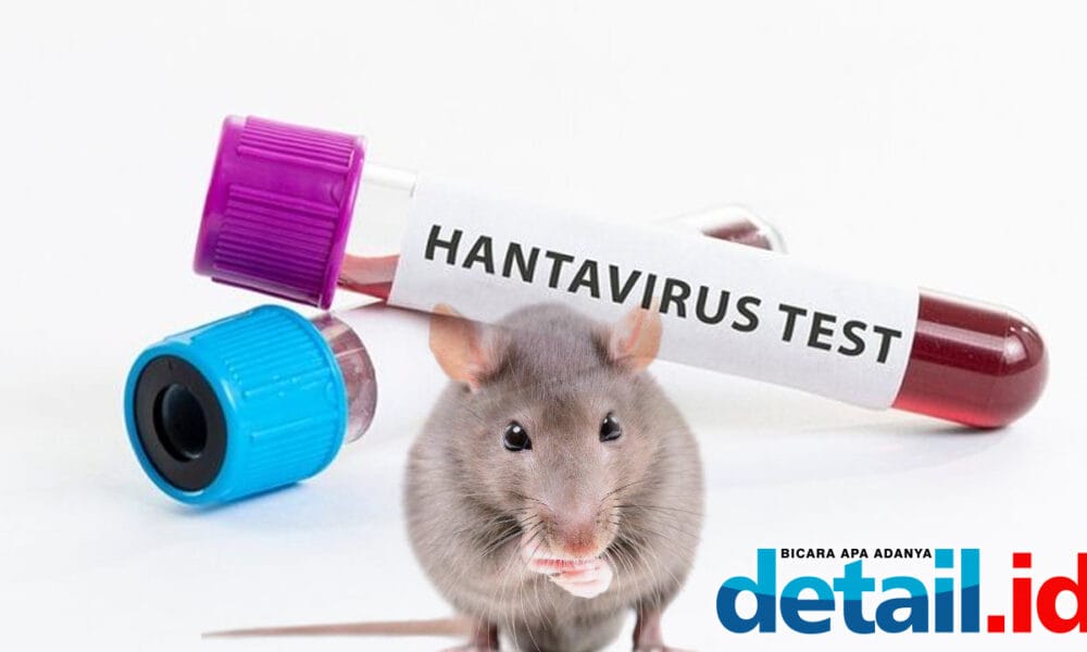 Hantavirus