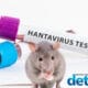 Hantavirus