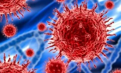 Penularan Virus Corona