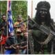 KBB OPM Berulah, Tembaki Anggota TNI di Papua