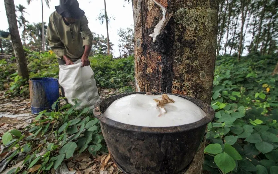 Menteri Basuki Siapkan Rp100 Miliar untuk Beli Karet Petani