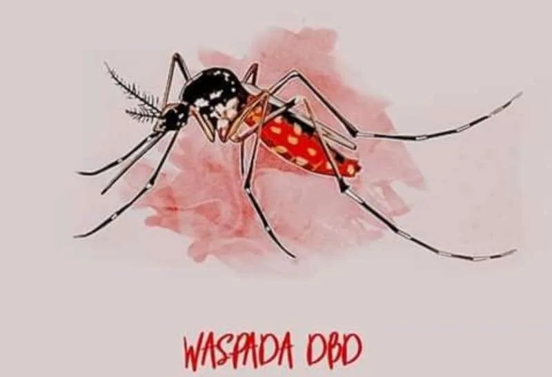 2.115 Kasus DBD di Jateng, 40 Orang Meninggal