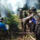 BNN Sumut Musnahkan 8 Hektar Ladang Ganja Milik Warga