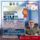sim gratis