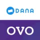 Siap Saingi GoPay, OVO & DANA Segera Merger
