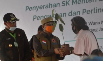 Temenggung SAD Serahkan Bibit Tanaman Endemik kepada Gubernur Jambi 