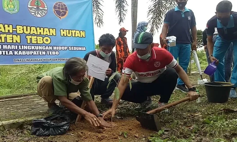 Bibit Tanaman Endemik dari Hutan Suku Anak Dalam