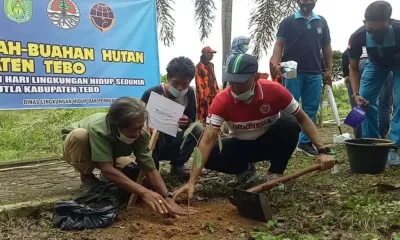 Bibit Tanaman Endemik dari Hutan Suku Anak Dalam