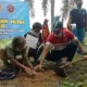 Bibit Tanaman Endemik dari Hutan Suku Anak Dalam