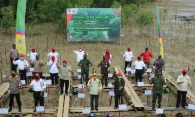 Hari Mangrove Sedunia