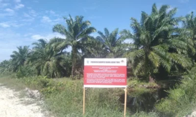 Tak Punya Izin Lingkungan, PT Kaswari Unggul Hanya Dijatuhi Sanksi Paksaan Pemerintah