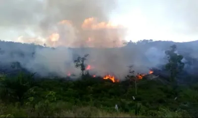 Polres Tebo Dikabarkan Selidiki Karhutla yang Melibatkan Oknum Pimpinan DPRD Tebo