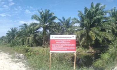 PT Kaswari Unggul Dihukum