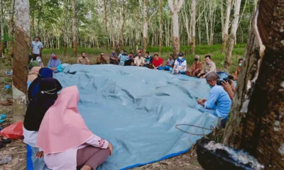 Dialog di Tengah Kebun Karet, Petani: Al Haris Beri Solusi untuk Petani Karet