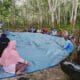 Dialog di Tengah Kebun Karet, Petani: Al Haris Beri Solusi untuk Petani Karet