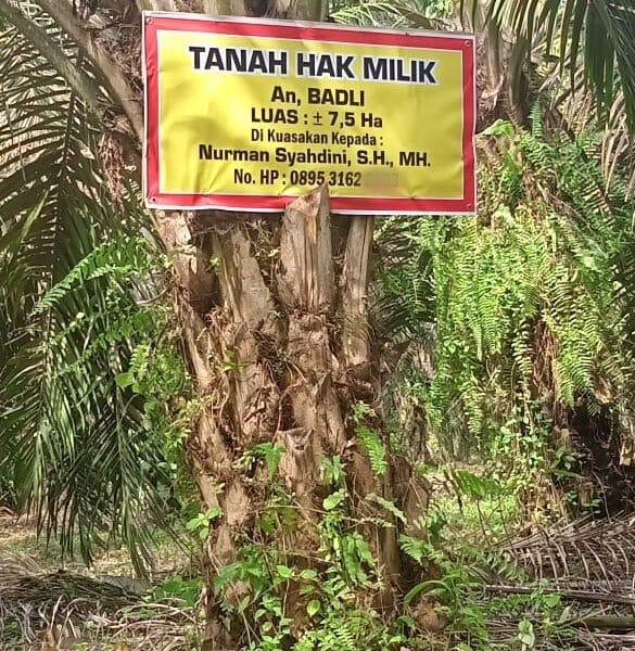 Serobot Lahan