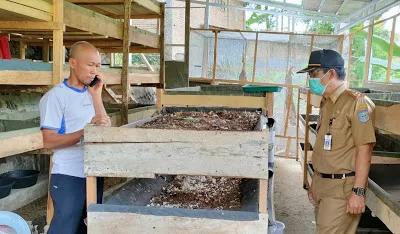 Harga Pakan Ikan Tak Terbeli