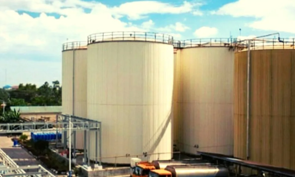 Pakbrik Kelapa Sawit (Ist)