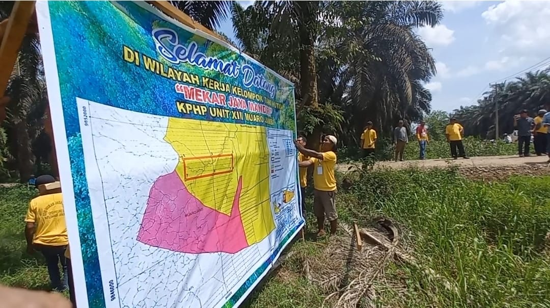 kawasan hutan