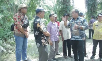 Wabup Asahan saat meninjau Sungai Sei Liga