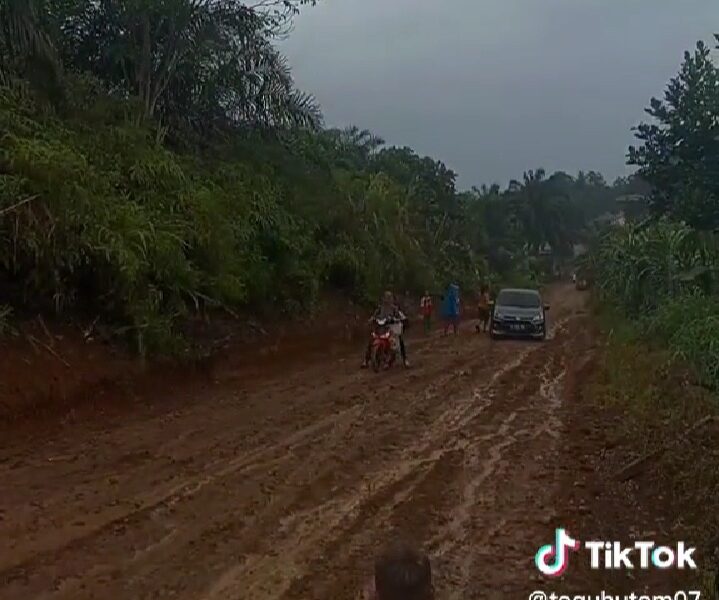 Jalan rusak yang viral di akun Tiktok warga. (DETAIL/ist)