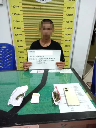 Pelaku usai di amankan unit satnarkoba polres Merangin. (DETAIL/Ist)