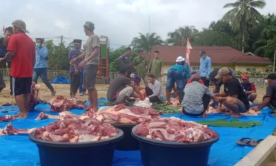 Daging sapi kurban dari Presiden Jokowi dibagi untuk empat desa di Kecamatan Pamenang Selatan. (DETAIL/Daryanto)