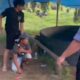 Wasit sabung ayam saat diamankan Tim Opsnal Satreskrim Polres Merangin di lokasi sabung ayam.(DETAIL/ist)