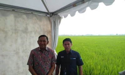 CEO BRI Regional Office (RO) Aris Hartanto (baju biru) dan Kepala Otoritas Jasa Keuangan (OJK) Kantor Regional (KR) 5 Sumbagut Bambang Mukti Riyadi di Desa Pematang Johar