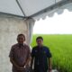 CEO BRI Regional Office (RO) Aris Hartanto (baju biru) dan Kepala Otoritas Jasa Keuangan (OJK) Kantor Regional (KR) 5 Sumbagut Bambang Mukti Riyadi di Desa Pematang Johar