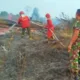 Personel Kodim Sarko bersama Satgas memadamkan api di perkebunan warga Bathin VIII, Sarolangun, Jambi. (DETAIL/ist)