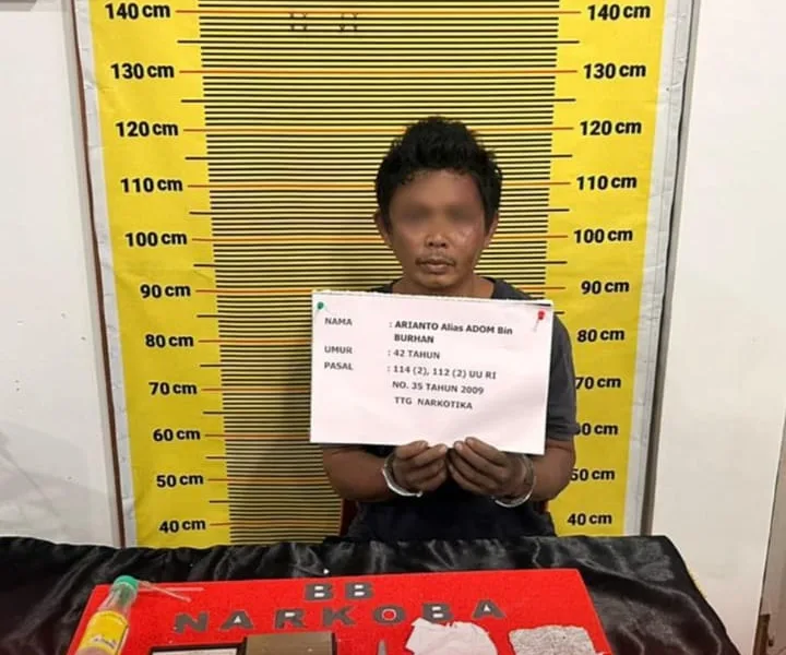 Bandar narkoba yang masuk DPO berhasil di bekuk saat bersembunyi di kebun karet. (DETAIL/ist)