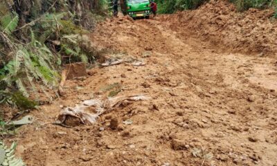 Jalan rusak menuju Desa Pulau Bayur, masih tanah merah banyak kendaraan yang terpaksa harus didorong agar bisa keluar dari jalan yang rusak. (DETAIL/Daryanto)