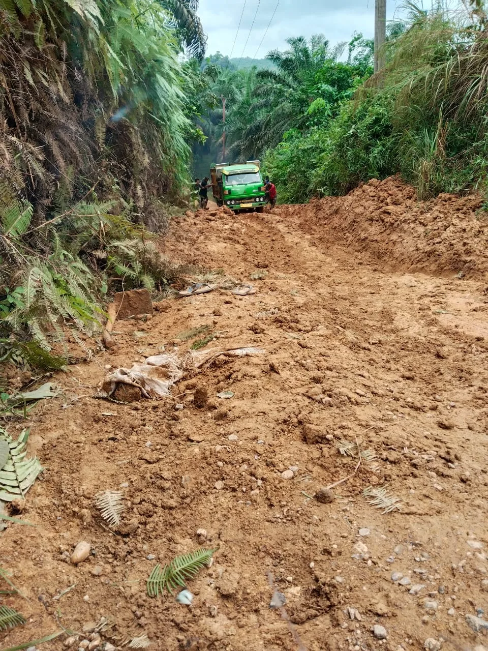 Jalan rusak menuju Desa Pulau Bayur, masih tanah merah banyak kendaraan yang terpaksa harus didorong agar bisa keluar dari jalan yang rusak. (DETAIL/Daryanto)