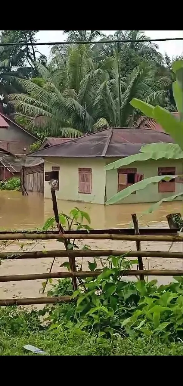 Banjir merendam ratusan rumah di Pangkalan Jambu. (DETAIL/ist)