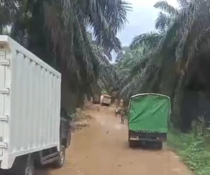 Salah satu jalan di Kecamatan Renah Pamenang yang rusak parah. (DETAIL/Daryanto)