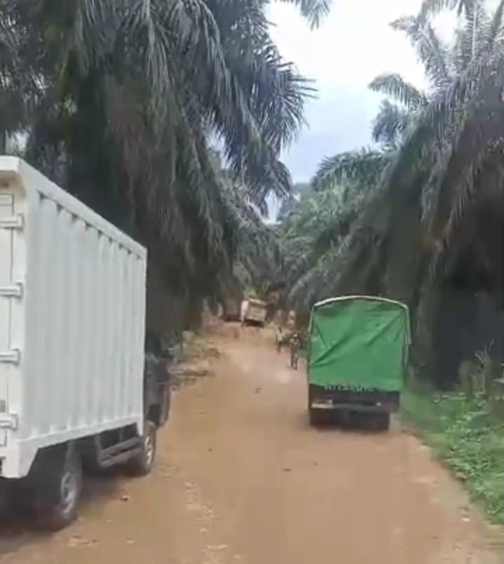 Salah satu jalan di Kecamatan Renah Pamenang yang rusak parah. (DETAIL/Daryanto)