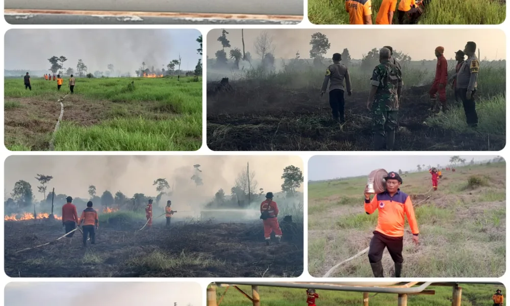 Areal lahan yang terbakar di Pemayang Buluh. (ist/BPBD Tanjabbar)
