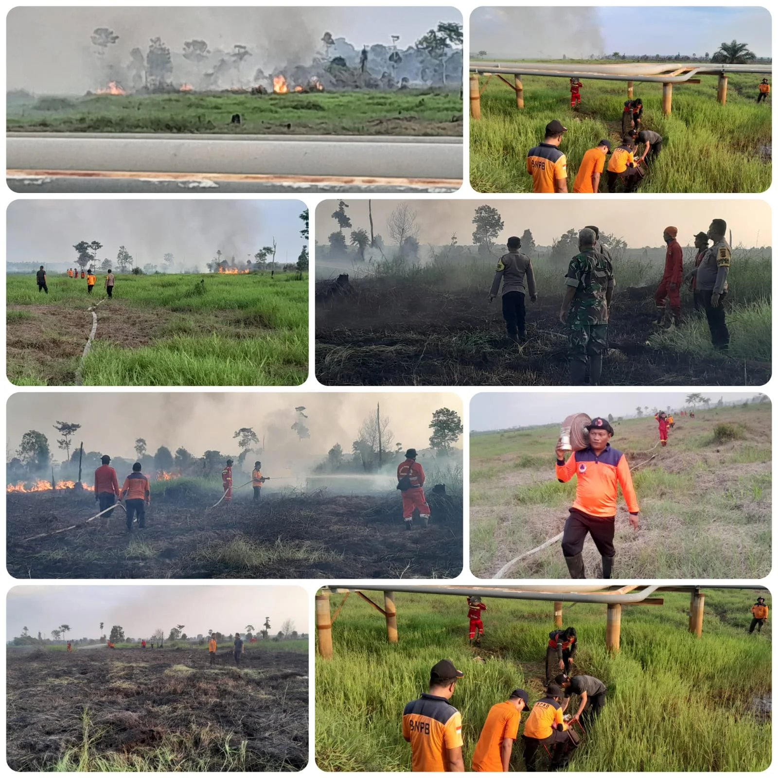 Areal lahan yang terbakar di Pemayang Buluh. (ist/BPBD Tanjabbar)
