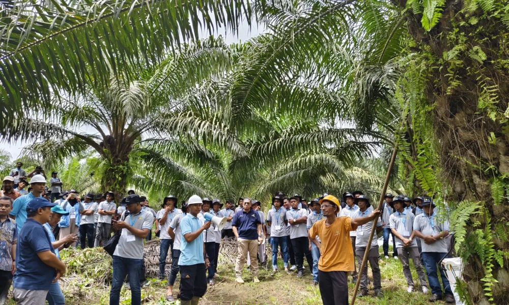 BPDPKS, Ditjenbun Kementan, dan IPB Training menggelar pelatihan bagi para petani sawit swadaya di Aceh. (ist)