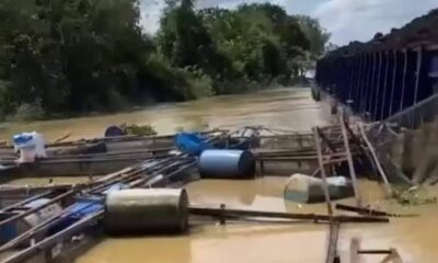 Tongkang BG Royal Tama 1602 nabrak kerambah ikan warga. (ist)