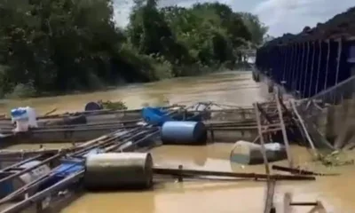 Tongkang BG Royal Tama 1602 nabrak kerambah ikan warga. (ist)