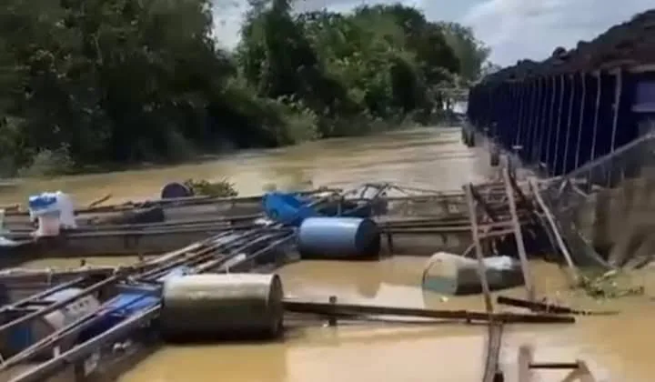 Tongkang BG Royal Tama 1602 nabrak kerambah ikan warga. (ist)