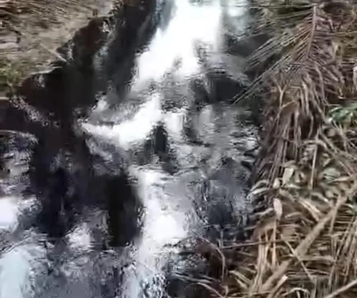 Limbah PT Fortius (ist)