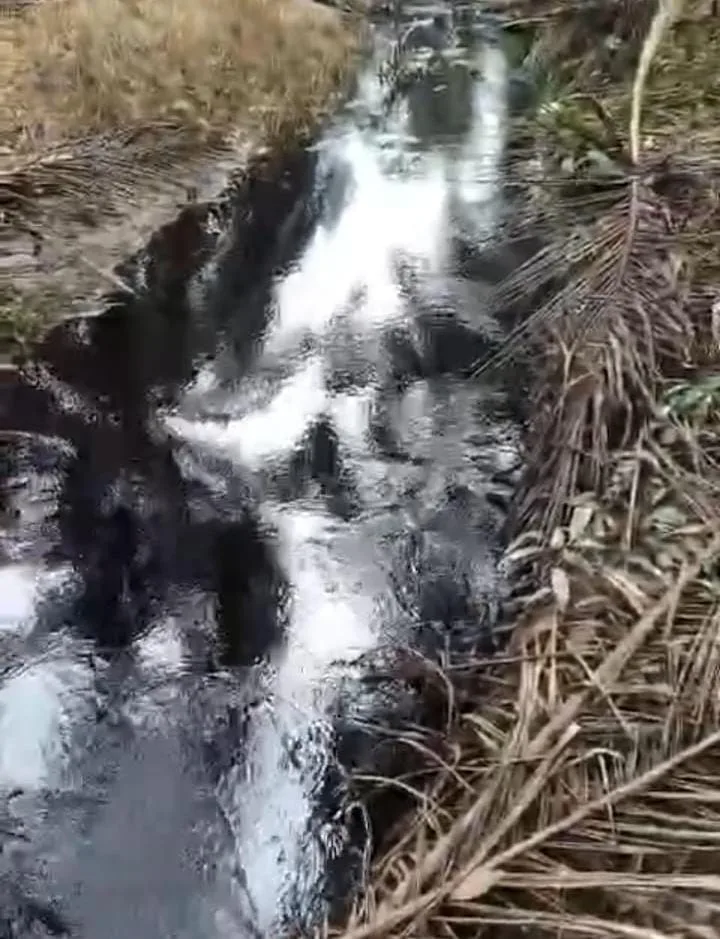 Limbah PT Fortius (ist)